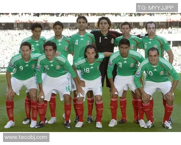 墨西哥足球明星的薪资待遇与生活方式探秘