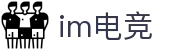 im电竞·(中国)电子竞技平台"